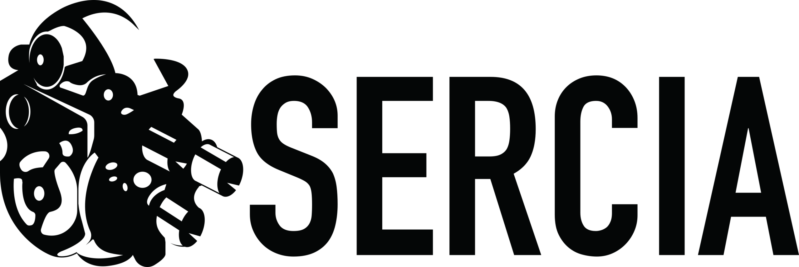 Société pour l’Enseignement et la Recherche du CInéma Anglophone